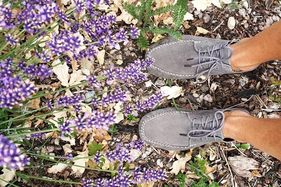 Scout Grey