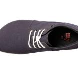 Metis-Canvas-top1